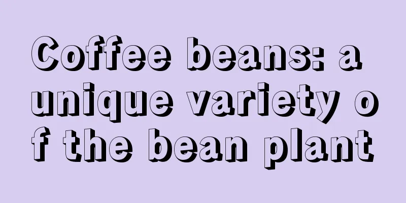 Coffee beans: a unique variety of the bean plant