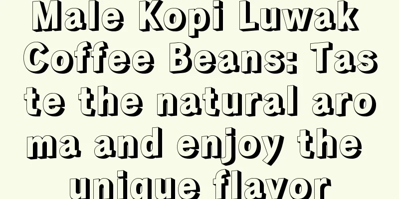 Male Kopi Luwak Coffee Beans: Taste the natural aroma and enjoy the unique flavor