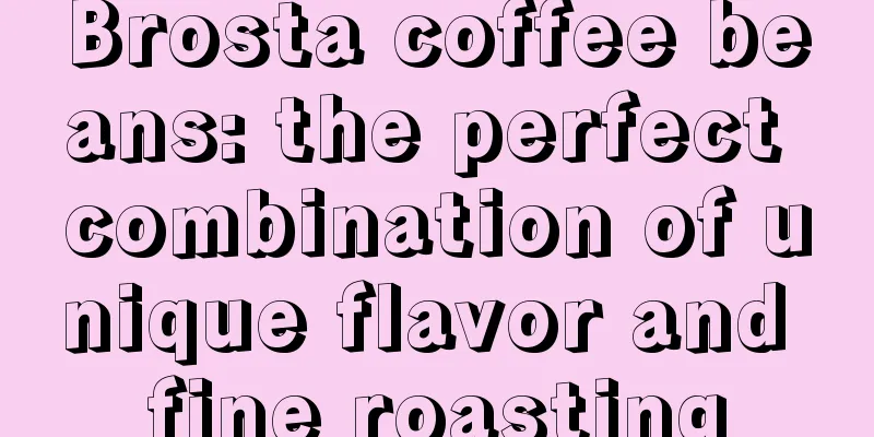 Brosta coffee beans: the perfect combination of unique flavor and fine roasting