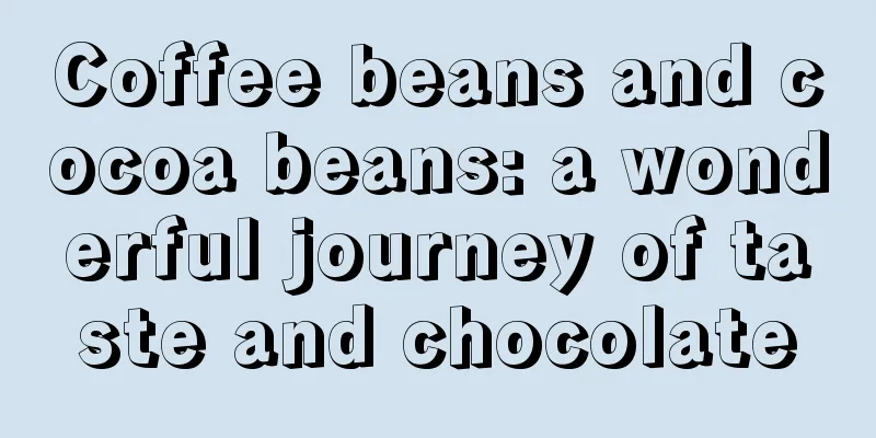 Coffee beans and cocoa beans: a wonderful journey of taste and chocolate