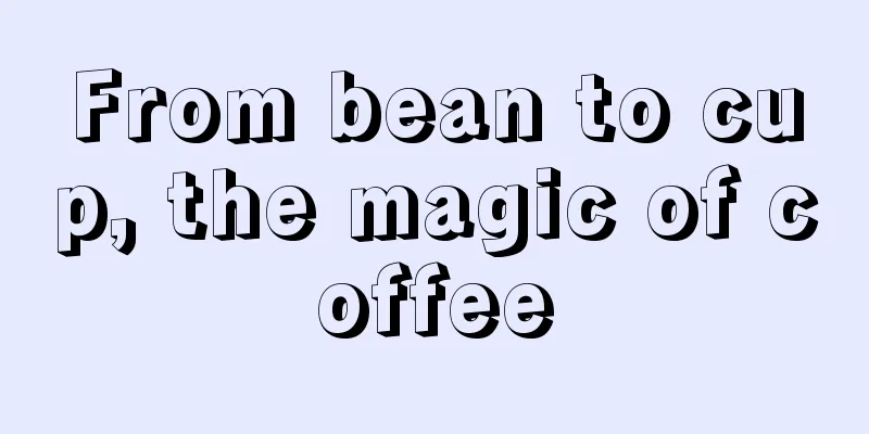 From bean to cup, the magic of coffee