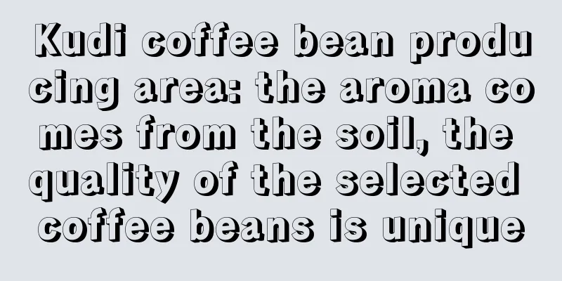 Kudi coffee bean producing area: the aroma comes from the soil, the quality of the selected coffee beans is unique