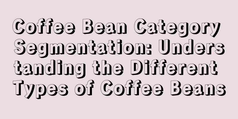 Coffee Bean Category Segmentation: Understanding the Different Types of Coffee Beans