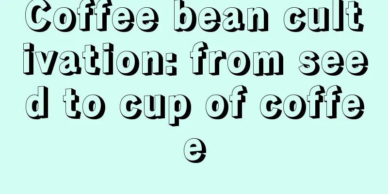 Coffee bean cultivation: from seed to cup of coffee