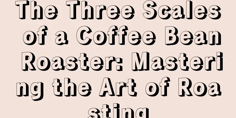 The Three Scales of a Coffee Bean Roaster: Mastering the Art of Roasting