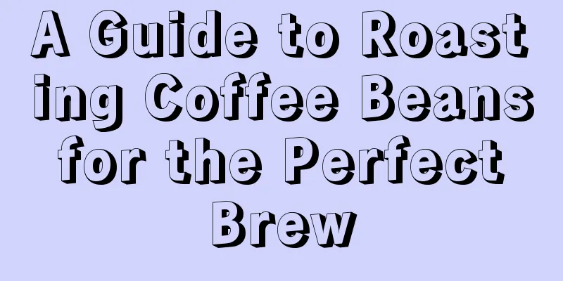 A Guide to Roasting Coffee Beans for the Perfect Brew