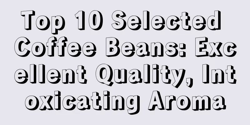 Top 10 Selected Coffee Beans: Excellent Quality, Intoxicating Aroma