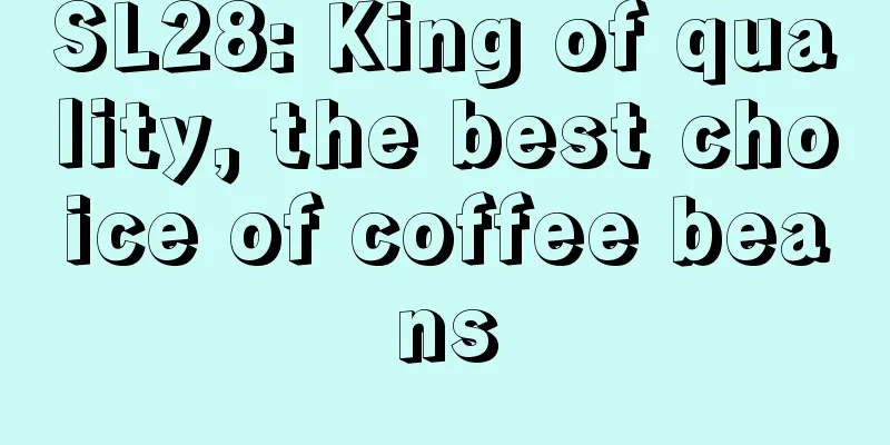 SL28: King of quality, the best choice of coffee beans