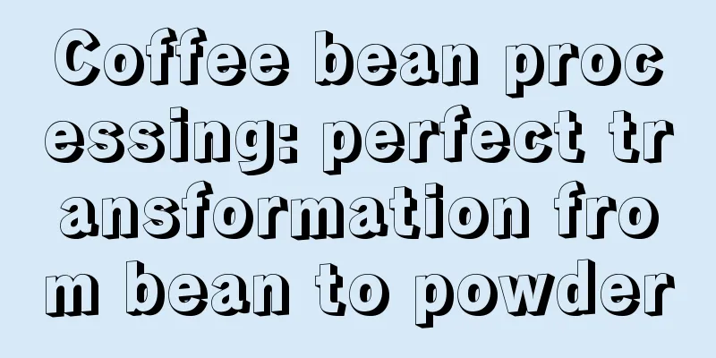 Coffee bean processing: perfect transformation from bean to powder