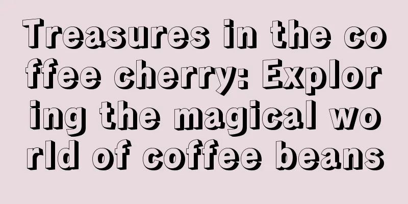 Treasures in the coffee cherry: Exploring the magical world of coffee beans