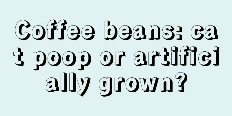 Coffee beans: cat poop or artificially grown?