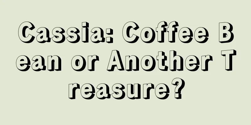 Cassia: Coffee Bean or Another Treasure?