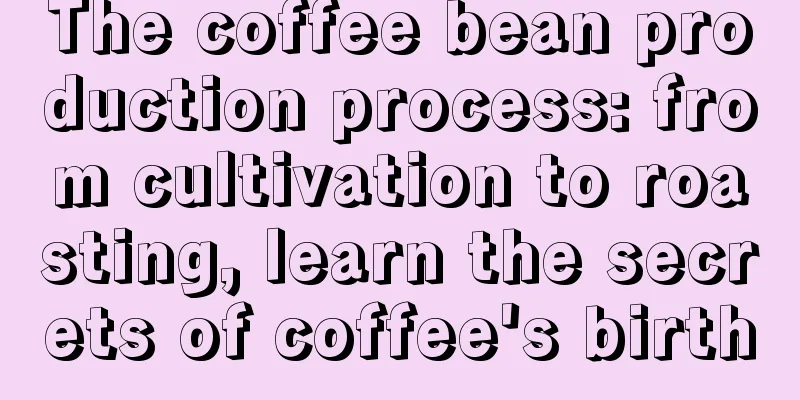 The coffee bean production process: from cultivation to roasting, learn the secrets of coffee's birth