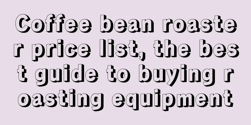 Coffee bean roaster price list, the best guide to buying roasting equipment