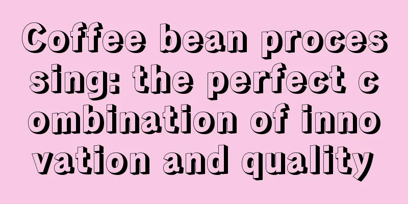 Coffee bean processing: the perfect combination of innovation and quality