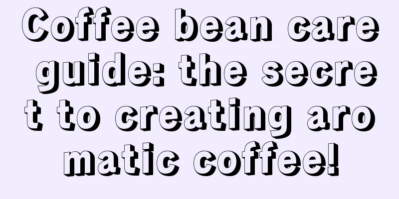 Coffee bean care guide: the secret to creating aromatic coffee!