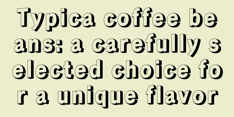 Typica coffee beans: a carefully selected choice for a unique flavor