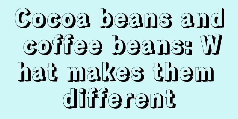 Cocoa beans and coffee beans: What makes them different