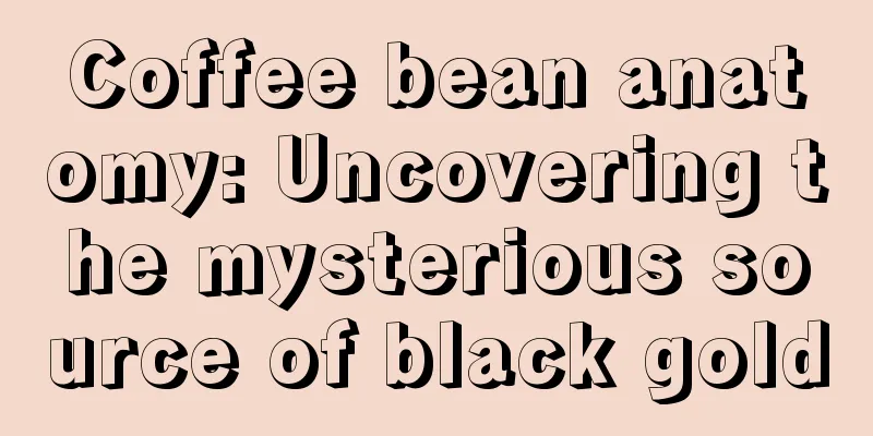 Coffee bean anatomy: Uncovering the mysterious source of black gold