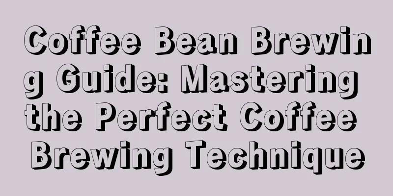 Coffee Bean Brewing Guide: Mastering the Perfect Coffee Brewing Technique