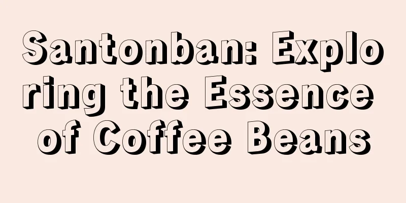 Santonban: Exploring the Essence of Coffee Beans