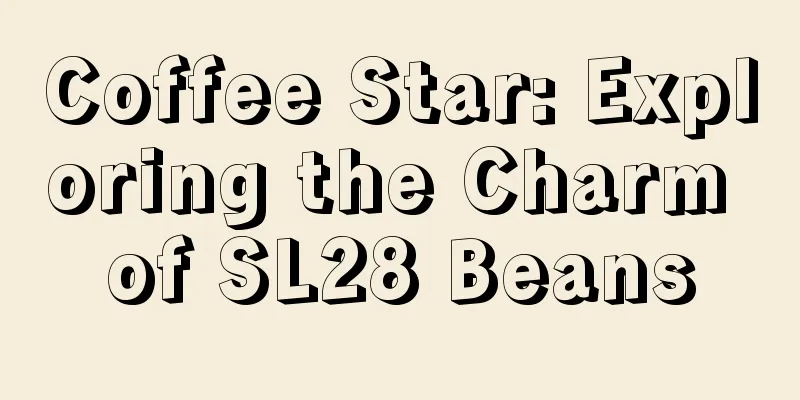 Coffee Star: Exploring the Charm of SL28 Beans