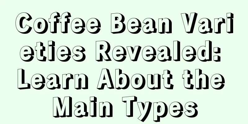 Coffee Bean Varieties Revealed: Learn About the Main Types