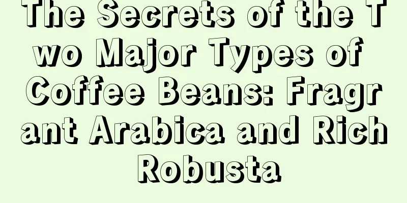 The Secrets of the Two Major Types of Coffee Beans: Fragrant Arabica and Rich Robusta