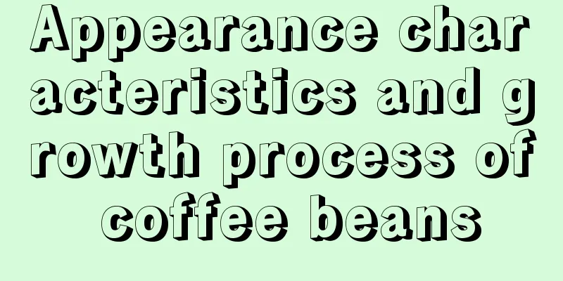 Appearance characteristics and growth process of coffee beans