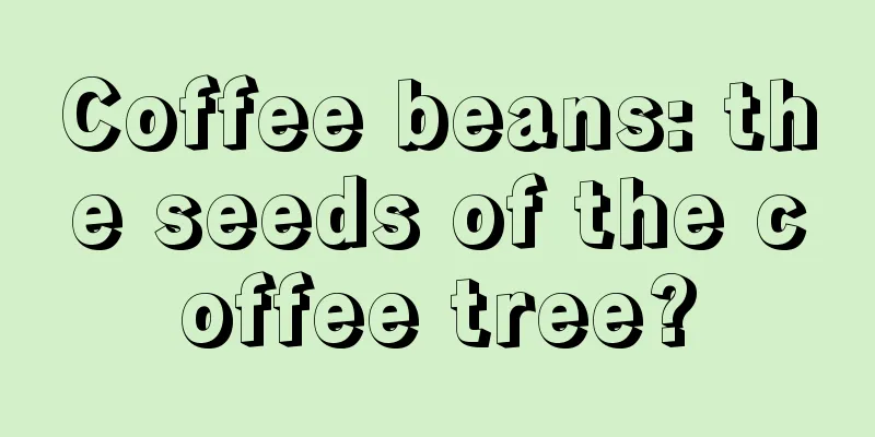 Coffee beans: the seeds of the coffee tree?