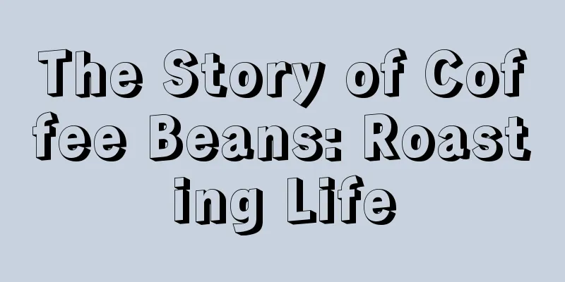 The Story of Coffee Beans: Roasting Life