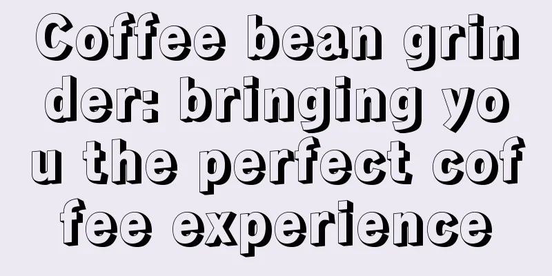 Coffee bean grinder: bringing you the perfect coffee experience