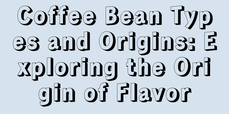 Coffee Bean Types and Origins: Exploring the Origin of Flavor