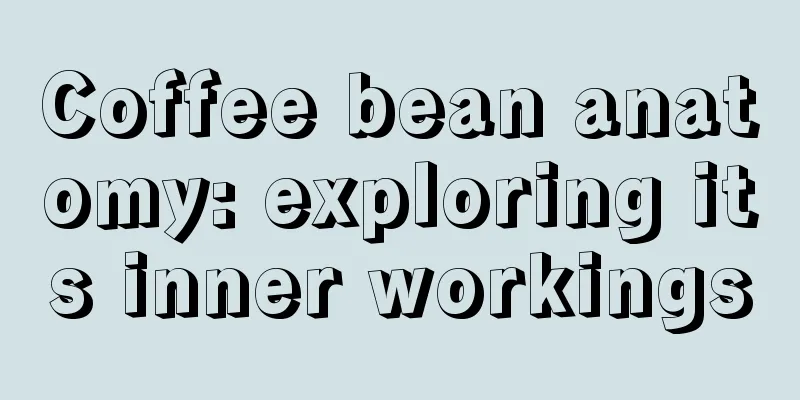 Coffee bean anatomy: exploring its inner workings