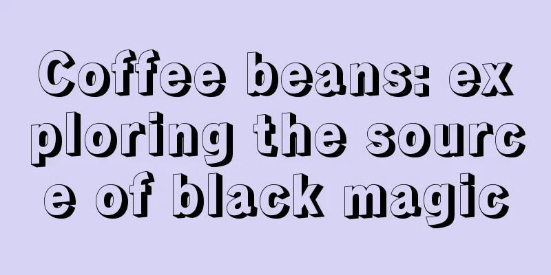 Coffee beans: exploring the source of black magic