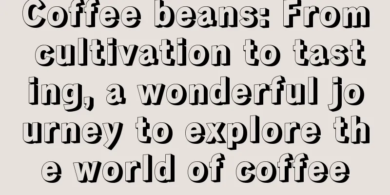 Coffee beans: From cultivation to tasting, a wonderful journey to explore the world of coffee