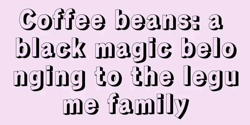 Coffee beans: a black magic belonging to the legume family