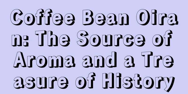 Coffee Bean Oiran: The Source of Aroma and a Treasure of History