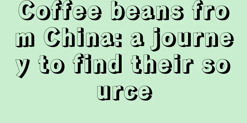 Coffee beans from China: a journey to find their source