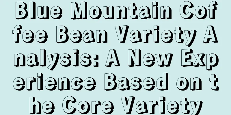 Blue Mountain Coffee Bean Variety Analysis: A New Experience Based on the Core Variety