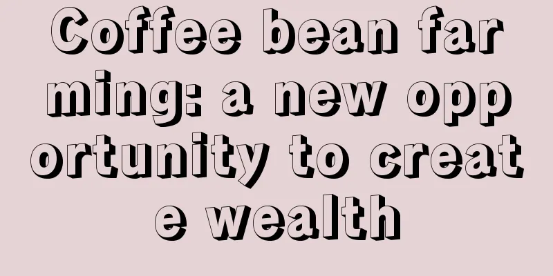 Coffee bean farming: a new opportunity to create wealth