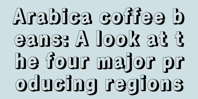 Arabica coffee beans: A look at the four major producing regions