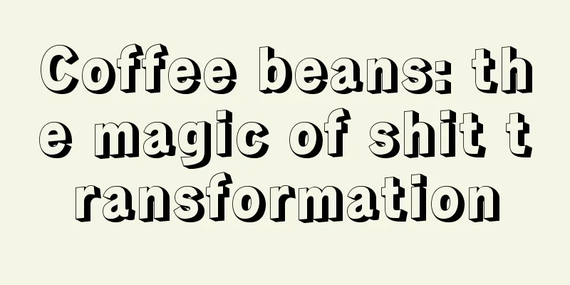 Coffee beans: the magic of shit transformation