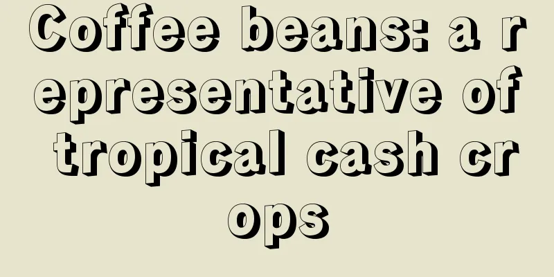 Coffee beans: a representative of tropical cash crops