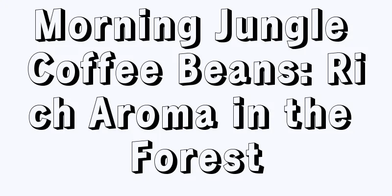 Morning Jungle Coffee Beans: Rich Aroma in the Forest