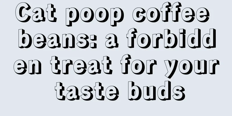 Cat poop coffee beans: a forbidden treat for your taste buds