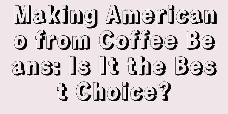 Making Americano from Coffee Beans: Is It the Best Choice?