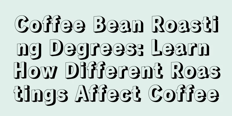 Coffee Bean Roasting Degrees: Learn How Different Roastings Affect Coffee