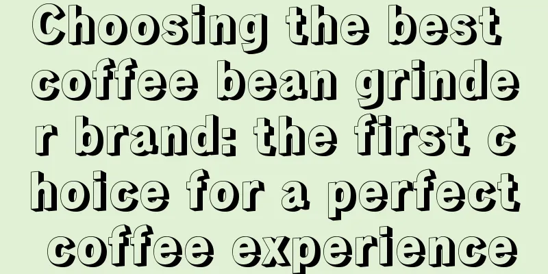 Choosing the best coffee bean grinder brand: the first choice for a perfect coffee experience