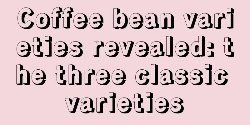 Coffee bean varieties revealed: the three classic varieties